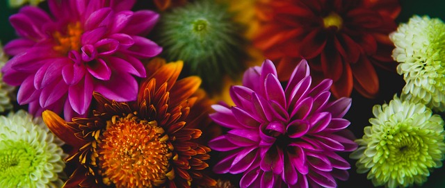 攻端的多样 攻端的多样