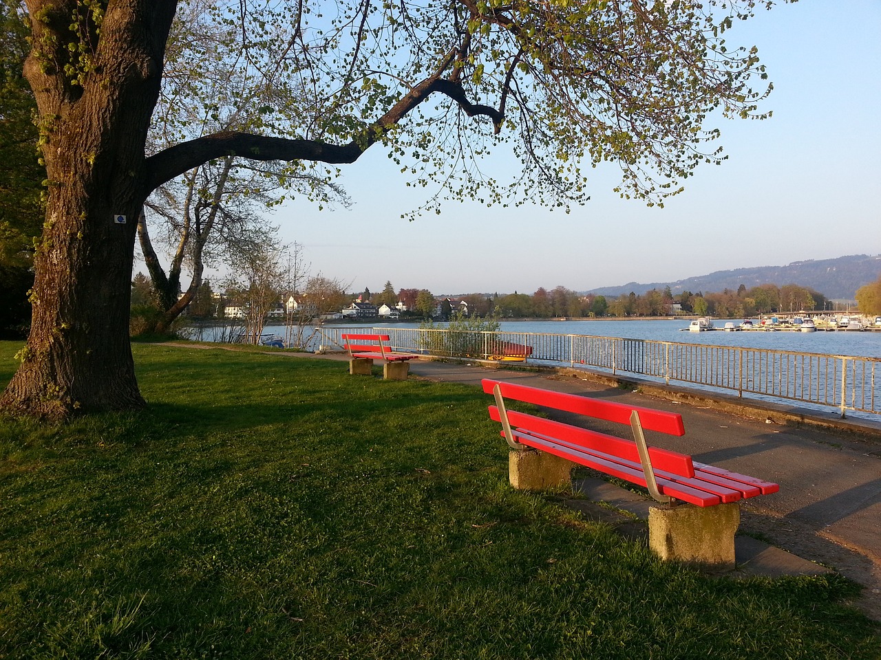 乎可以忽略 乎可以忽略