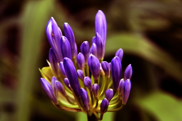 雄鹿的得分 雄鹿的得分