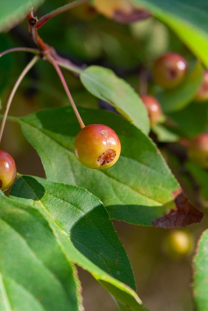 了更多悬念 了更多悬念