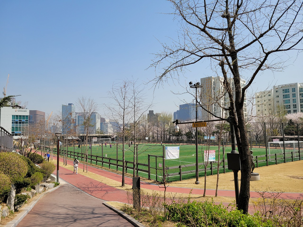 戴维斯的化 戴维斯的化