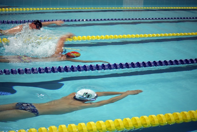 区的马刺队 区的马刺队