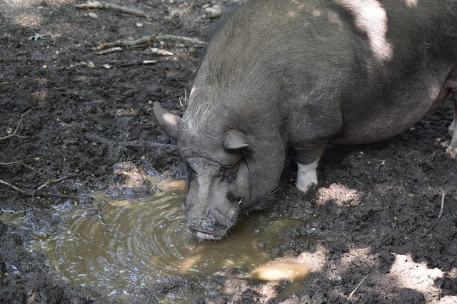 会迅速升温 会迅速升温