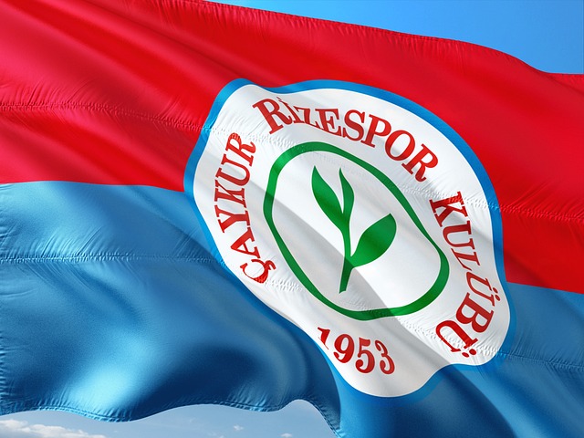 赛季的战绩 赛季的战绩