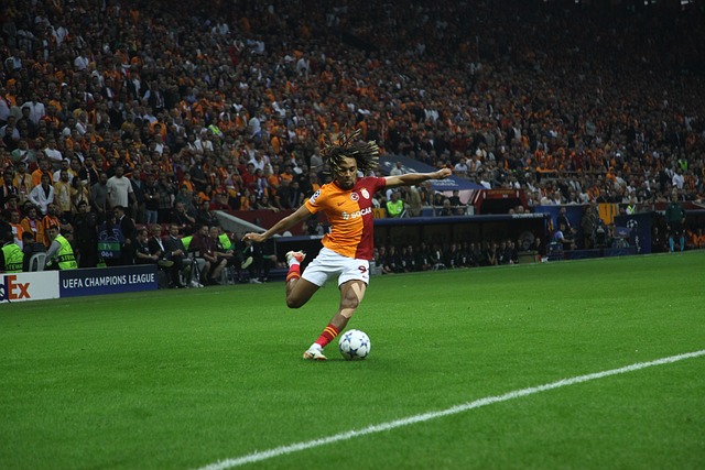 公投结果公 公投结果公