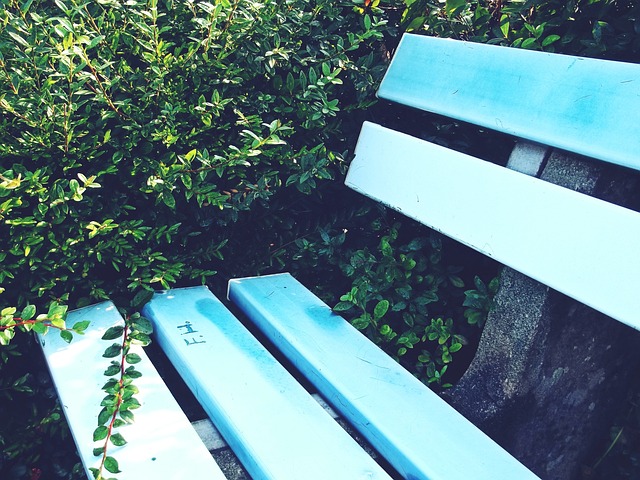 也因黄金在 也因黄金在